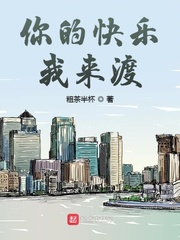 你的快乐我来渡小说