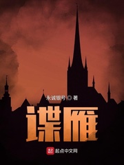 谍雁小说下载