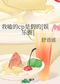 我嗑的cp是假的小说