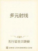多元映射