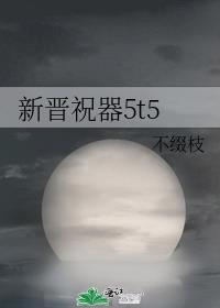 新晋祝器5t5免费