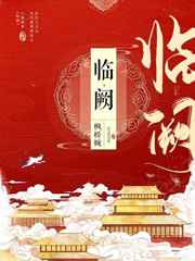 临阙枫桥婉百度网盘