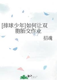 排球少年都在春高上的青春