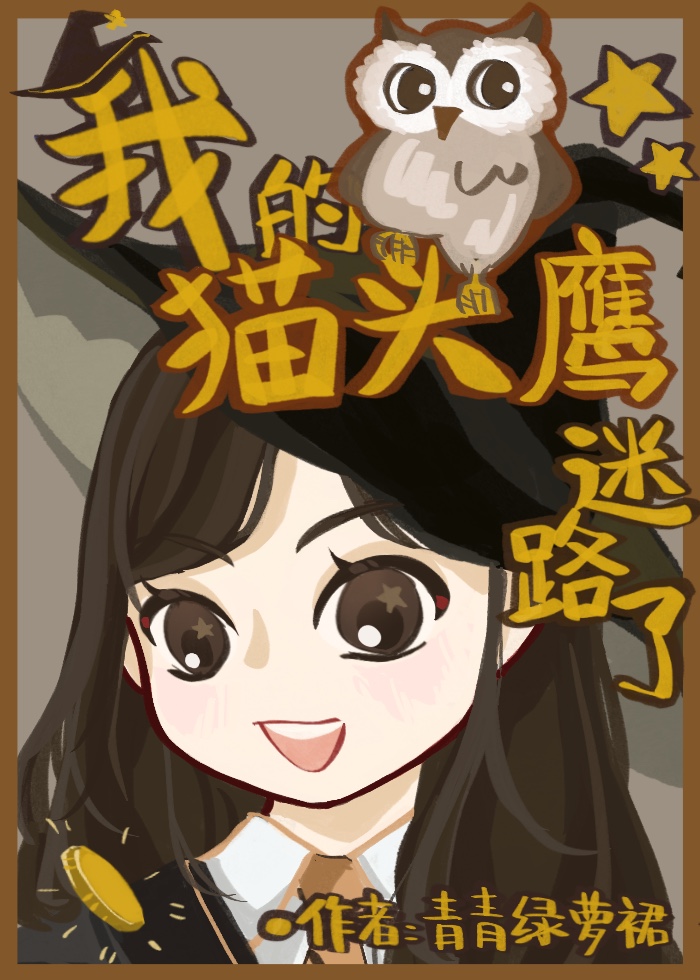 猫头鹰的小说