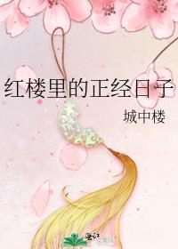 红楼讲的是什么