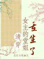 清穿女主的堂姐重生了百度网盘