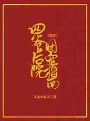 四爷的宠后