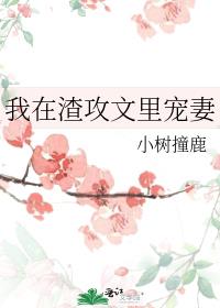 我在渣贱文里