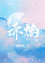 赤焰小说免费阅读全文