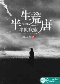 小说半生荒唐半世疯癫