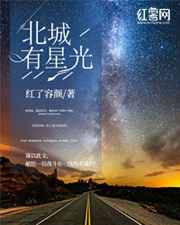 北城有星光第几章大结局