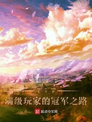 宝可梦满级玩家的冠军之路小说