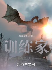 不会真有人觉得当训练家难吧