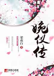 婉仪传岳连铮的介绍