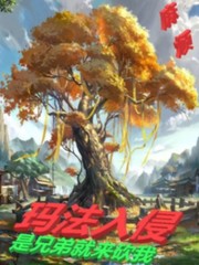 玛法入侵:是兄弟就来砍我(法师传奇3:玛法入侵)