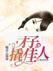 才子佳人小说目录