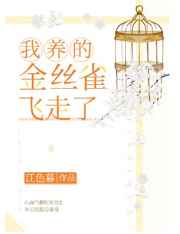 我养的金丝雀飞走了