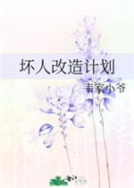 坏人改造计划