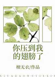 你压到我翅膀了番外
