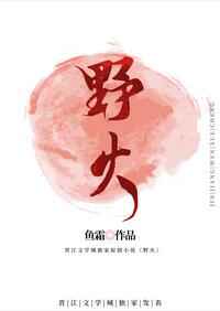 野火春风斗古城剧情介绍