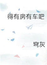 有车有房算条件好吗