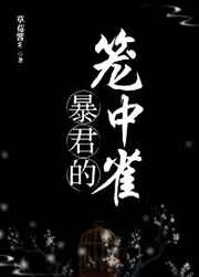 暴君的笼中雀小说TXT