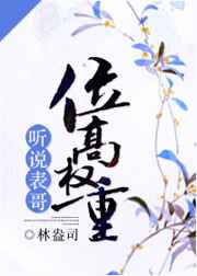 听说表哥位高权重txt