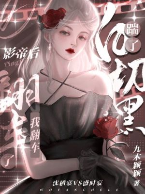 我翻车了 小说