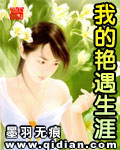 我的艳遇生涯后卫燕姿