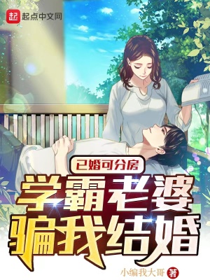 学霸老婆骗我结婚讲的什么