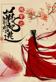穿越小说萌妃