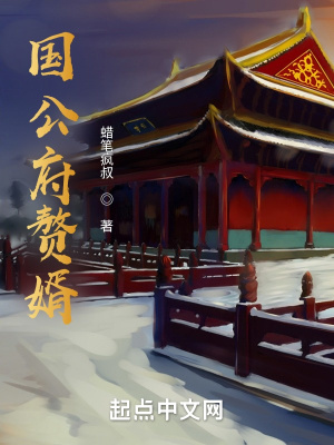 国公府赘婿修仙小说