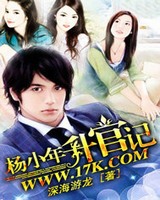 小说杨小年升官记