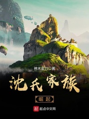 沈氏家族崛起[校对版]