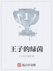 王子的绿茵笔趣