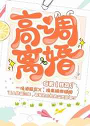 小说高调离婚