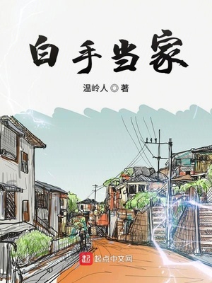 白手当家小说123