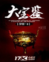 免费阅读大宝鉴