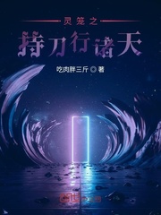灵笼之指挥官 小说