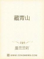 藏海传电视剧免费观看